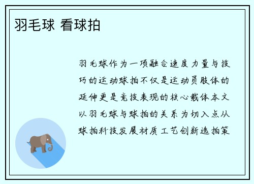 羽毛球 看球拍