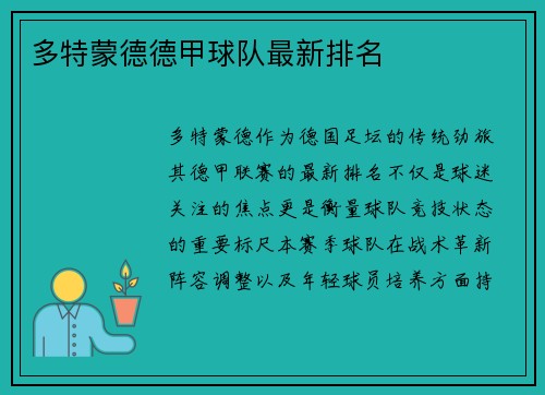 多特蒙德德甲球队最新排名